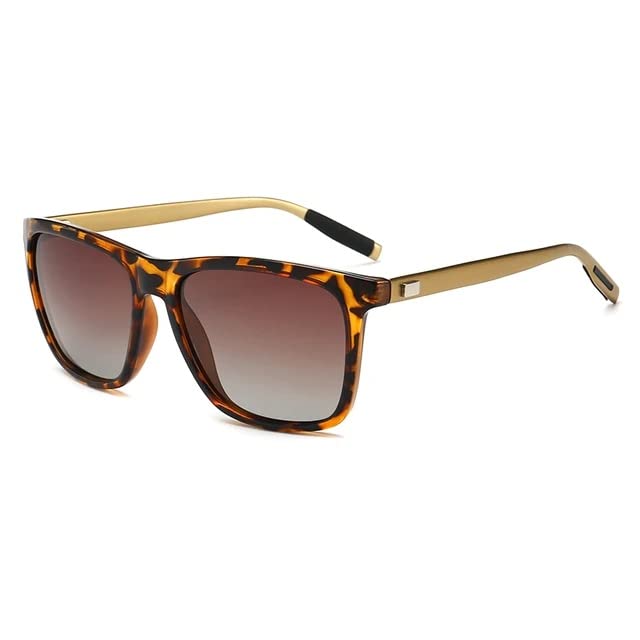 Ray-Ban RB2185 Wayfarer II Classic 55 Brown & Spotted Havana Polarized  Sunglasses | Sunglass Hut USA